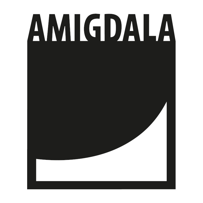 Amigdala, gestore della Fabbrica Civica OvestLab